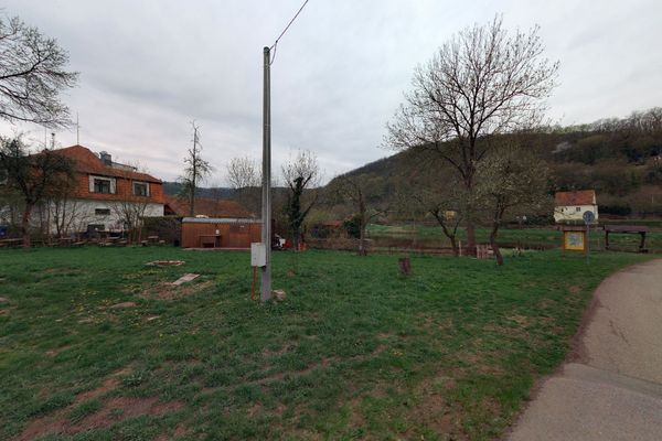 The Garden