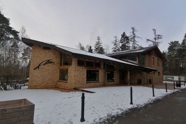 Restaurace Archa