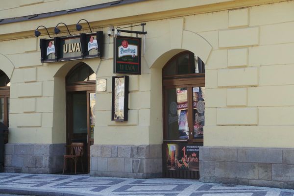 Restaurace U Lva