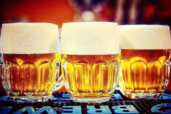 F.A. Bar - Oranžová