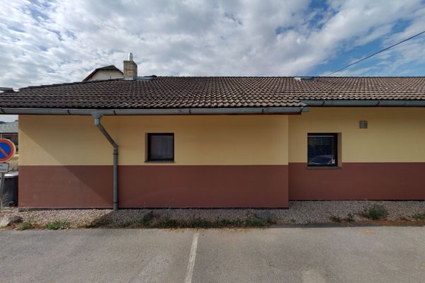 Modrý klokan