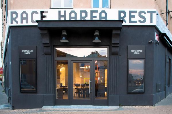 RESTAURACE HARFA