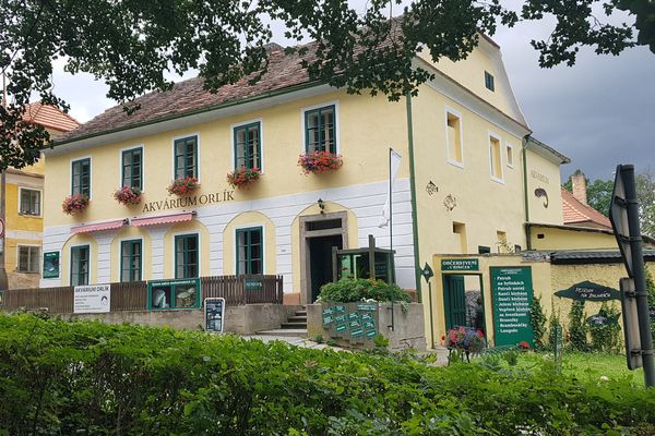 Občerstvení U Rybiček
