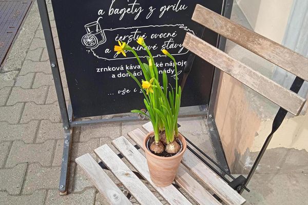 Vegetariánská bageterie U Květušky