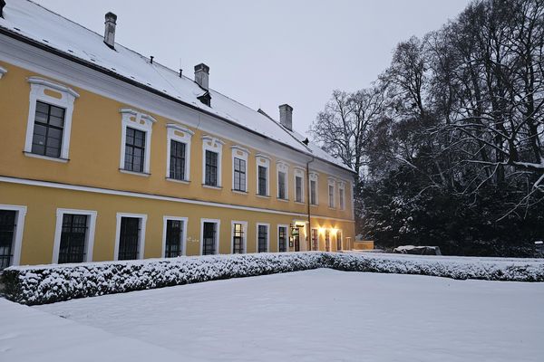 Zámecká růže