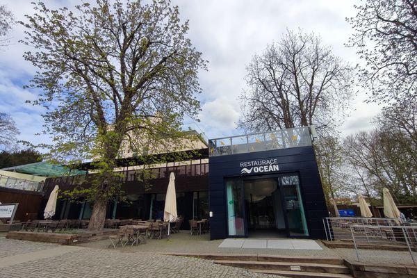 Restaurace Oceán