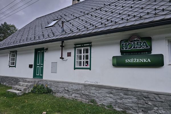 Sněženka