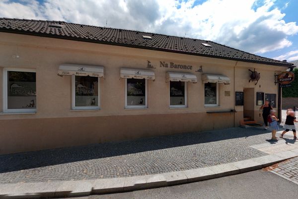 Kozlovna na Baronce