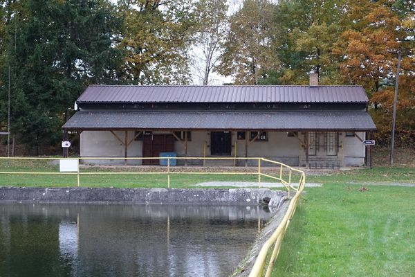 Koupaliště Letiny