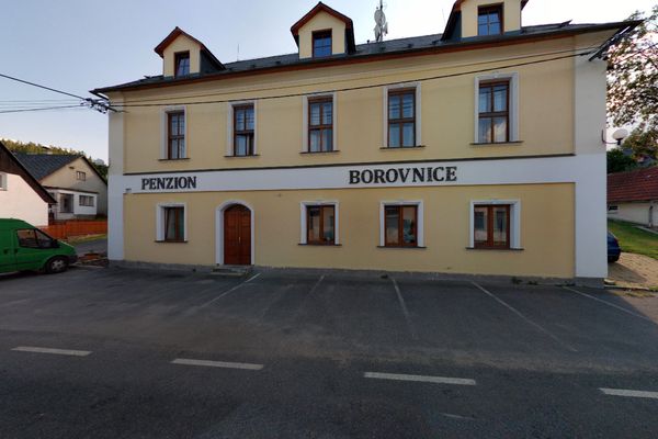 Restaurace Borovnice