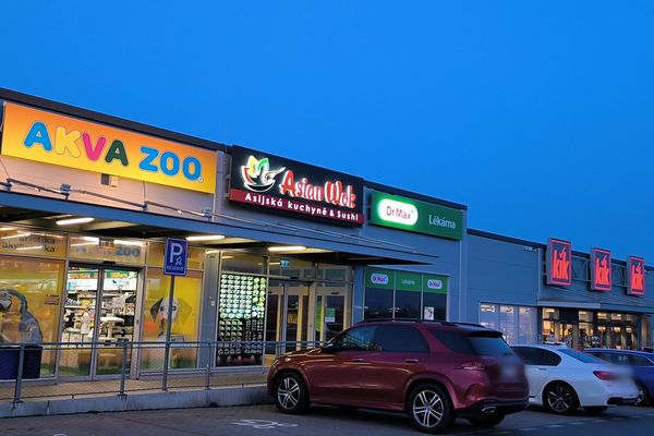 Asian Wok